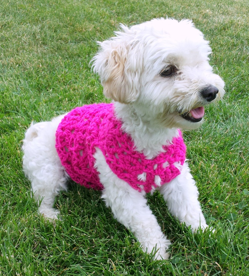custom dog sweater small dog clothes pink dog coat pink dog vest teacup dog clothes yorkie clothes whippet sweater dachshund clothes