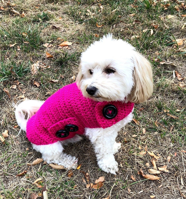 Pink dog sweater with buttons dog clothing for small dogs Etsy