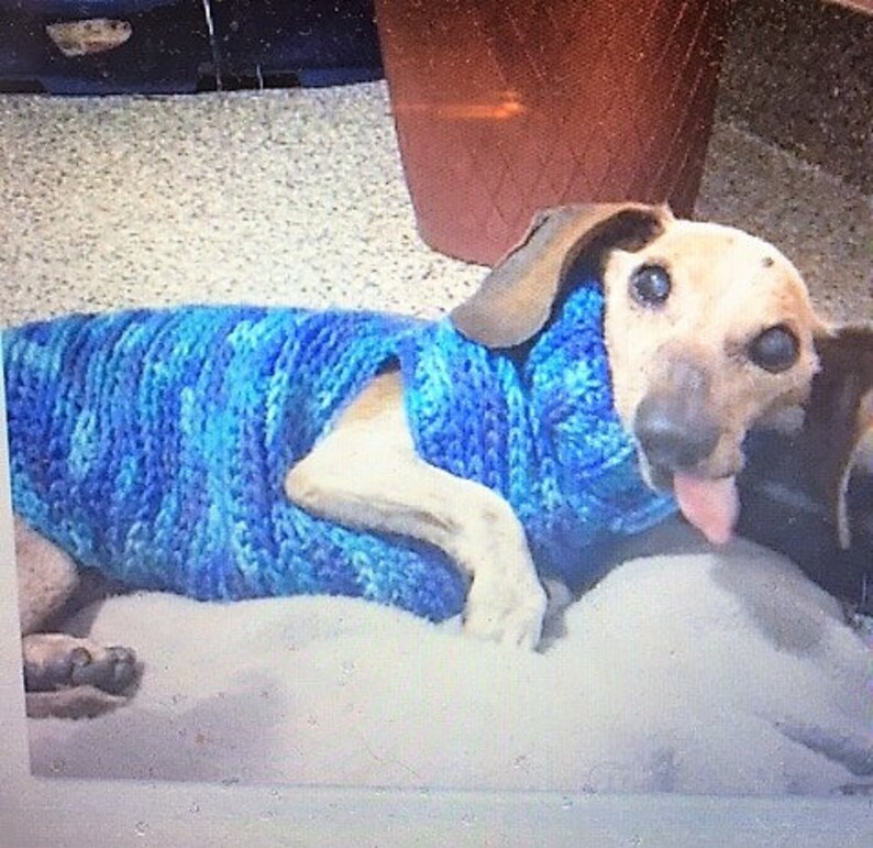 Custom Dachshund Sweater Purple Doxie Clothes Personalized Etsy