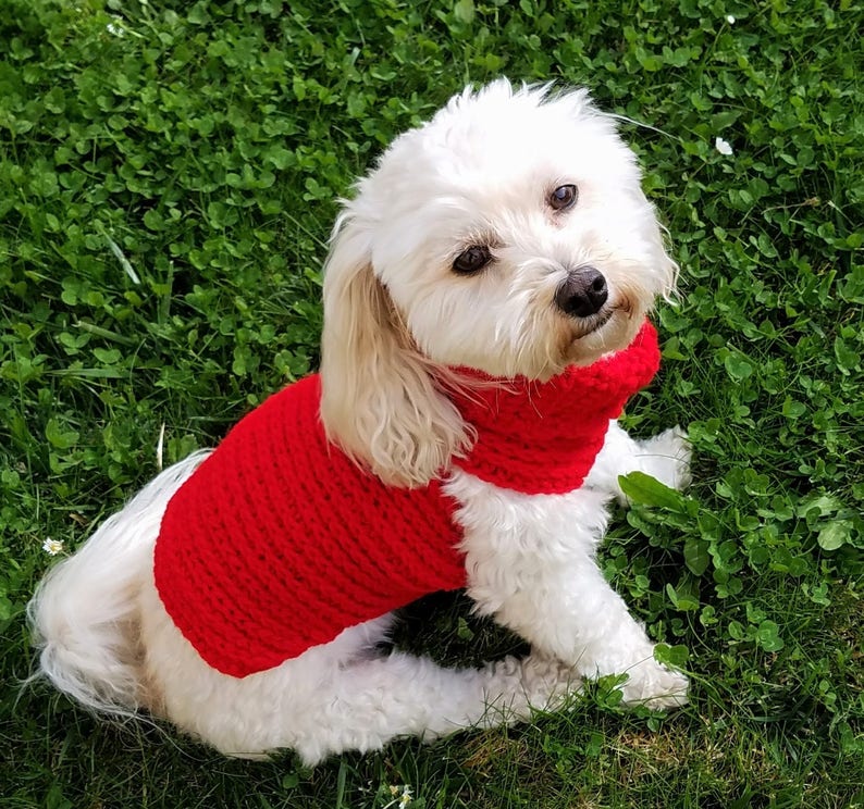 Dog turtleneck red dog sweater xs dog clothes teacup dog | Etsy