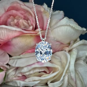 May include: A silver necklace with a large, oval-cut, clear gemstone pendant. The pendant is the focal point, reflecting light. The chain is delicate. The background features soft pink and white flowers.