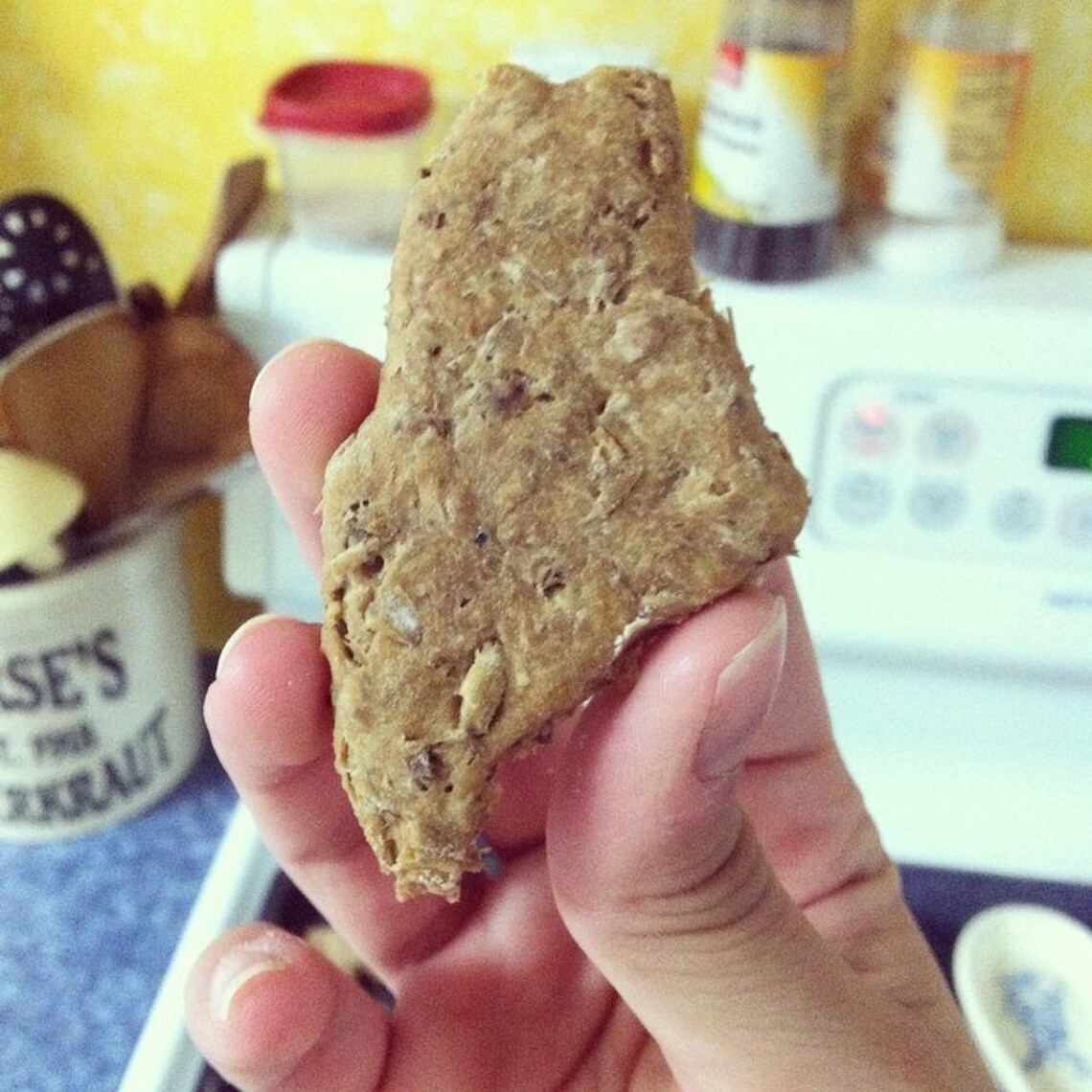 Bear Bones Spent Grain Dog Treats Etsy