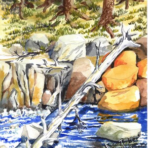 Print of Original Watercolor &quot;Fallen Timber&quot; unframed 8 1/2 x 11 inches in size