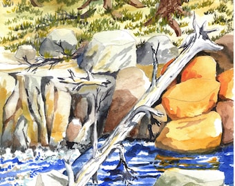 Print of Original Watercolor "Fallen Timber" unframed 8 1/2 x 11 inches in size