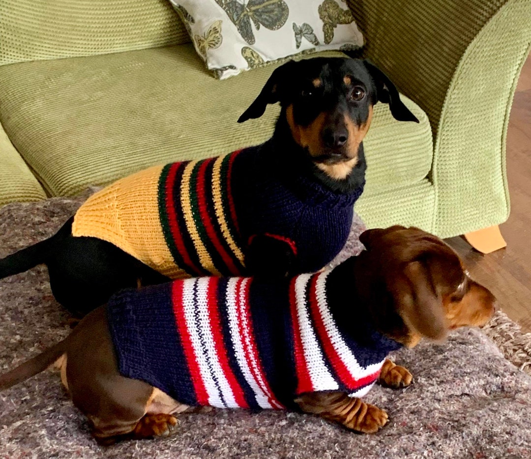 Miniature Dachshund Jumper Sausage Dog Coat Etsy