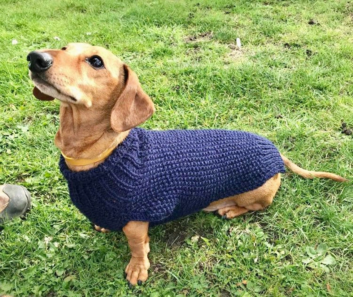 Miniature Dachshund jumper Sausage Dog coat Etsy