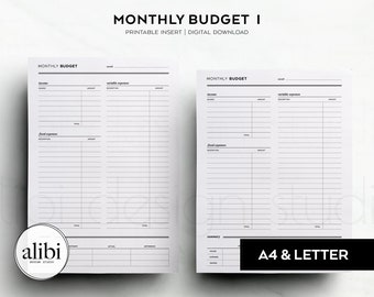 A4 and US Letter Size Monthly Budget Financial Planner Finance Overview Budget Planner Printable Planner Inserts