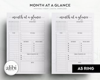 May include: Two identical white planner inserts with black text and lines titled Month at a Glance. Each page features a calendar grid, sections for appointments, to-do lists, top goals, birthdays, special events, gratitude, and notes.