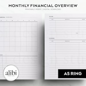 A5 Budget Planner Monthly Financial Overview A5 Printable Planner Inserts