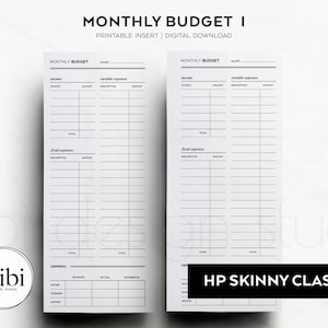 Skinny Classic Happy Planner Monthly Budget Financial Planner Finance Overview Budget Planner HP Half Sheet Printable Inserts