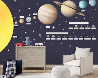 Solar System and Asteroids with Names Space Wall Decal Set for Boy, Planets with Labels and Stars Wall Stickers Astronomy Toddler Playroom