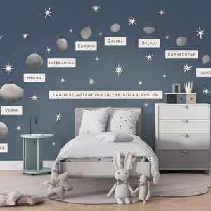 May include: A blue wall with white stars and gray rocks with the names of the largest asteroids in the solar system written on white rectangles. A white bed with a gray and white patterned duvet cover and a white dresser with three drawers are in the room. Two stuffed animals are sitting on a gray rug.