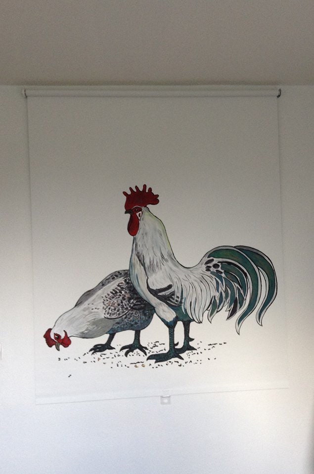 Coq et Poule de Bresse sur Store à Enrouleur Occultant, Blanc