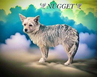 Rest In Peace Dog Memorial Shirt: Custom Pet Portrait, Soft Cotton