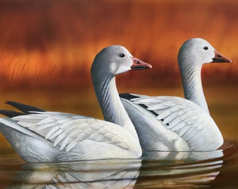 Snow Geese - Original Wildlife Art by Robin J. Myers