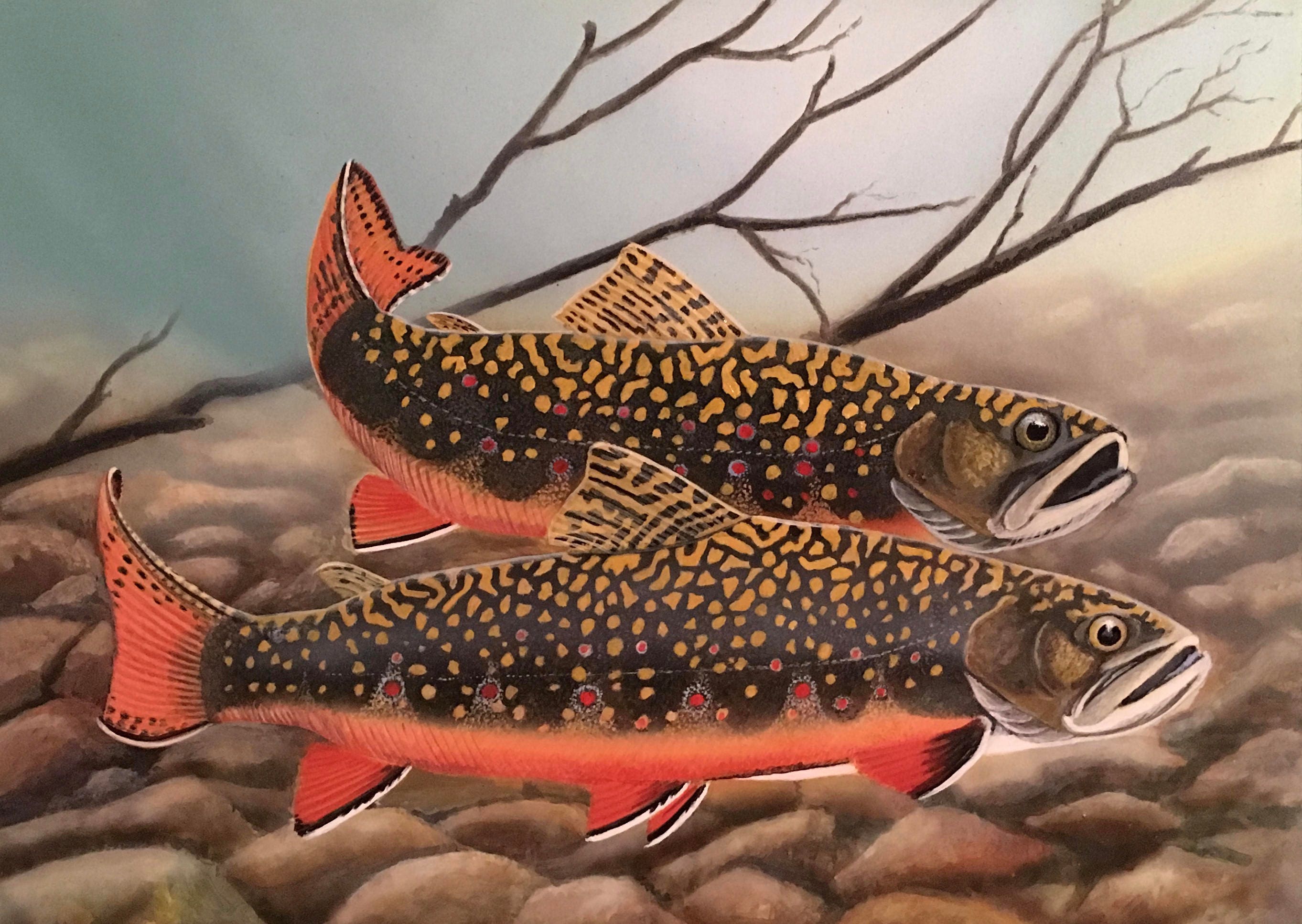 Brook Trout Painting Original Painting Wildlife Art Etsy