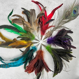 May include: A circular arrangement of colourful feathers. The feathers are in various shades, including red, green, blue, yellow, and purple. A peacock feather is also present. The feathers are displayed on a white surface.