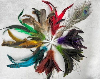 Feather Clips for Hats or Hair Available in a Rainbow of Colors