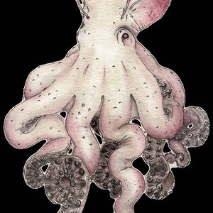 Watercolor Octopus Painting Transparent Stickers