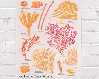 Cold Water Corals of Canada