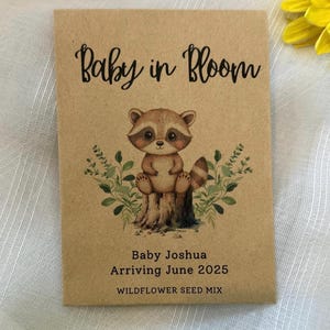 May include: A brown paper seed packet with a raccoon illustration and the text "Baby in Bloom" and "Baby Joshua Arriving June 2025 Wildflower Seed Mix".