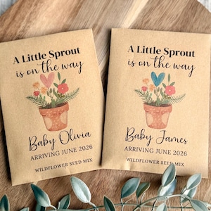May include: Two tan seed packets with the text "A Little Sprout is on the way" and a watercolor illustration of a flower pot with flowers. The packets read "Baby Olivia" and "Baby James" with an arrival date of June 2026.