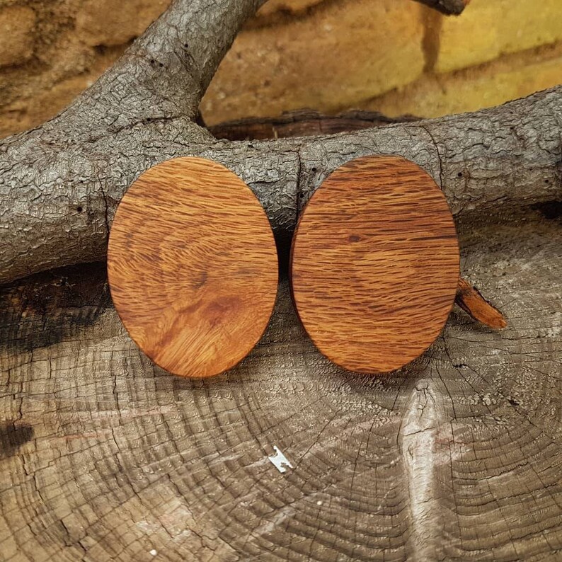 46mm Pair of oval corkwood plug.
