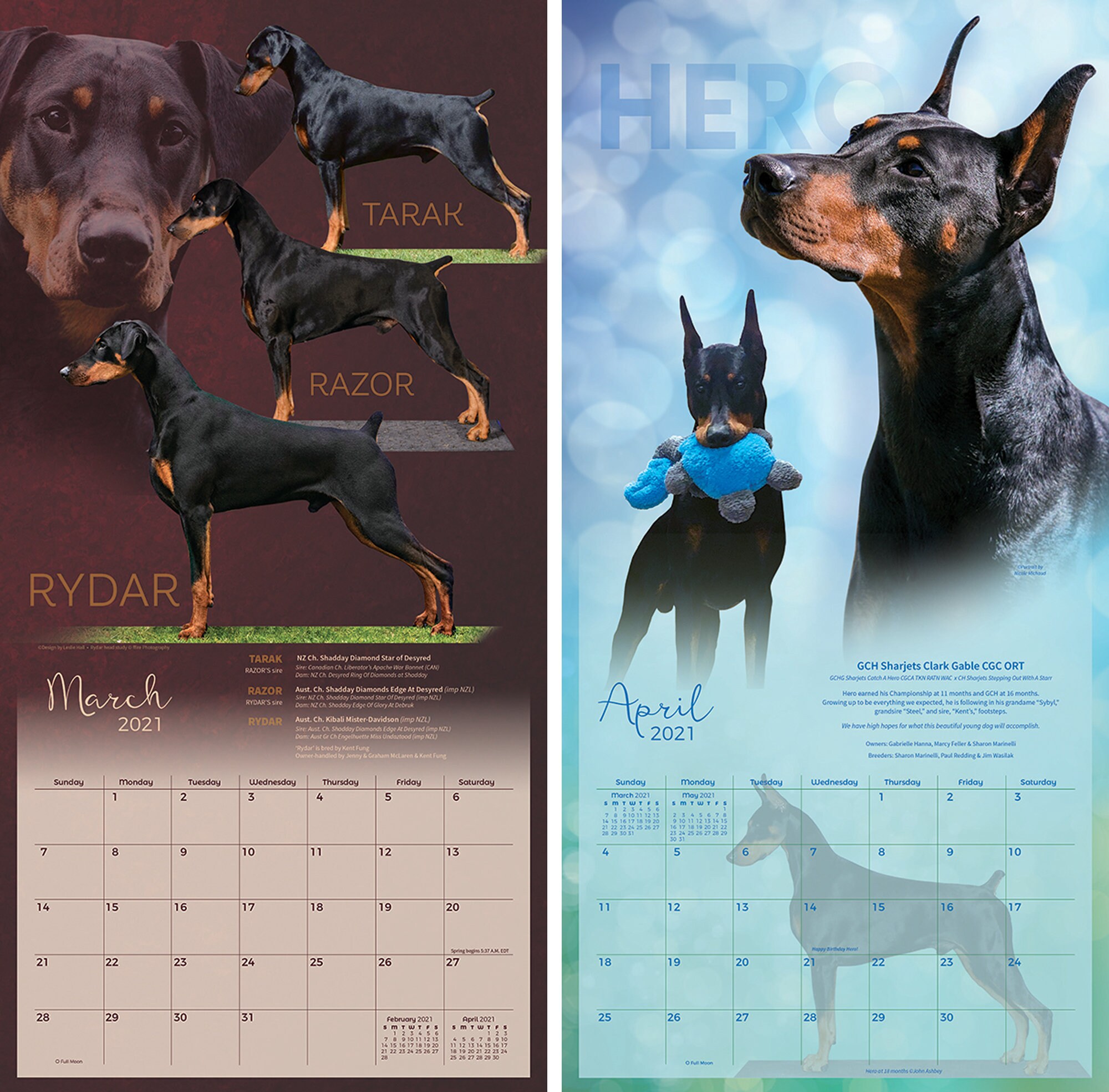 Beautiful 2021 Doberman 12 x 24 Wall Calendar | Etsy