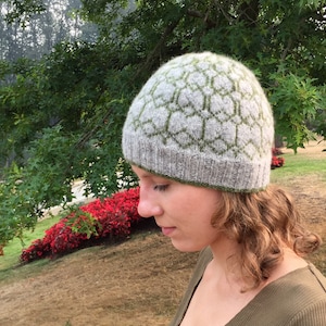 Okanagan beanie knitting PATTERN, knit hat pattern, knit pattern, colorwork beanie pattern, colorwork hat pattern, instant download pdf