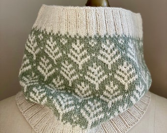 Bellissimo modello BC Cowl, modello a cappuccio lavorato a maglia, modello a cappuccio lavorato a maglia, modello colorwork, istruzioni fai da te, download immediato pdf