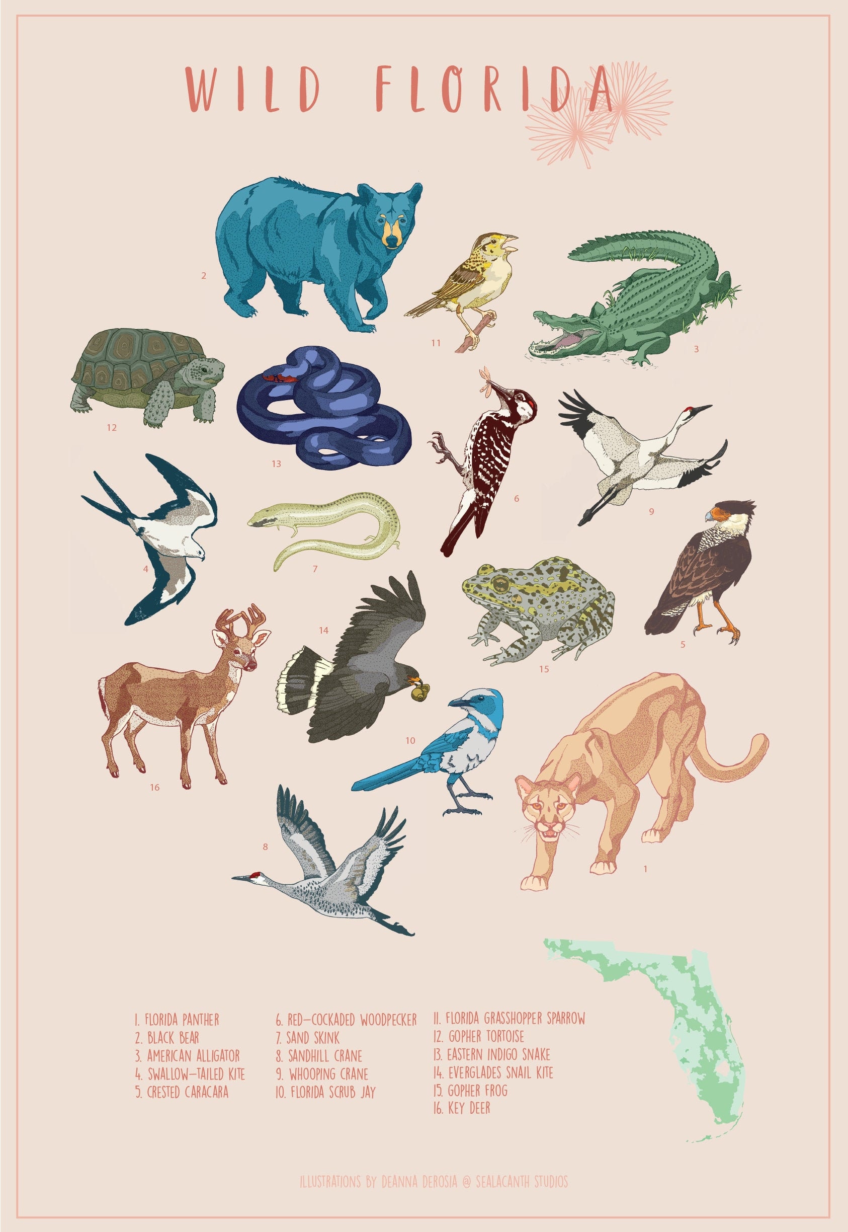 Wild Florida Florida Wildlife Corridor Poster | Etsy