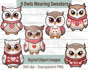 Cute Valentine's Owl wearing sweaters, Commerical use, Silhouette, Cricut, Scrapbooking,