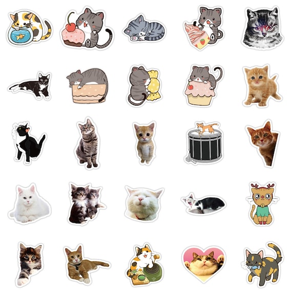 Cat Kitten Stickers Pack Random Cute Waterproof Animal Decals Gift DIY for  Laptop, Luggage, Notebook, Water Bottles, Guitar Cutestics 