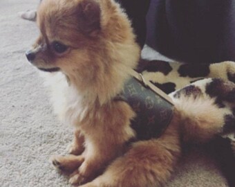 dog harness louis vuitton