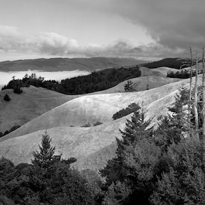 View on Mount Tamalpais of Fog and Inverness Ridge, Marin County