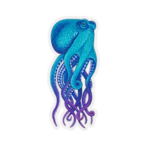 May include: A blue and purple octopus with eight tentacles. The octopus is drawn in a realistic style with detailed shading and highlights.