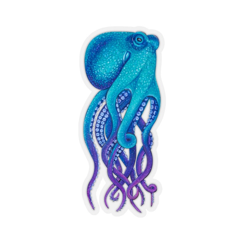 May include: A blue and purple octopus with eight tentacles. The octopus is drawn in a realistic style with detailed shading and highlights.
