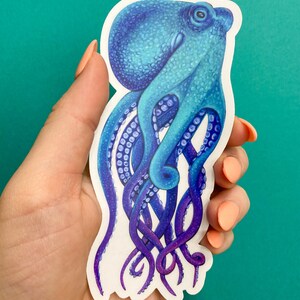 May include: A blue and purple octopus sticker with a white background. The octopus has eight tentacles and is drawn in a realistic style.