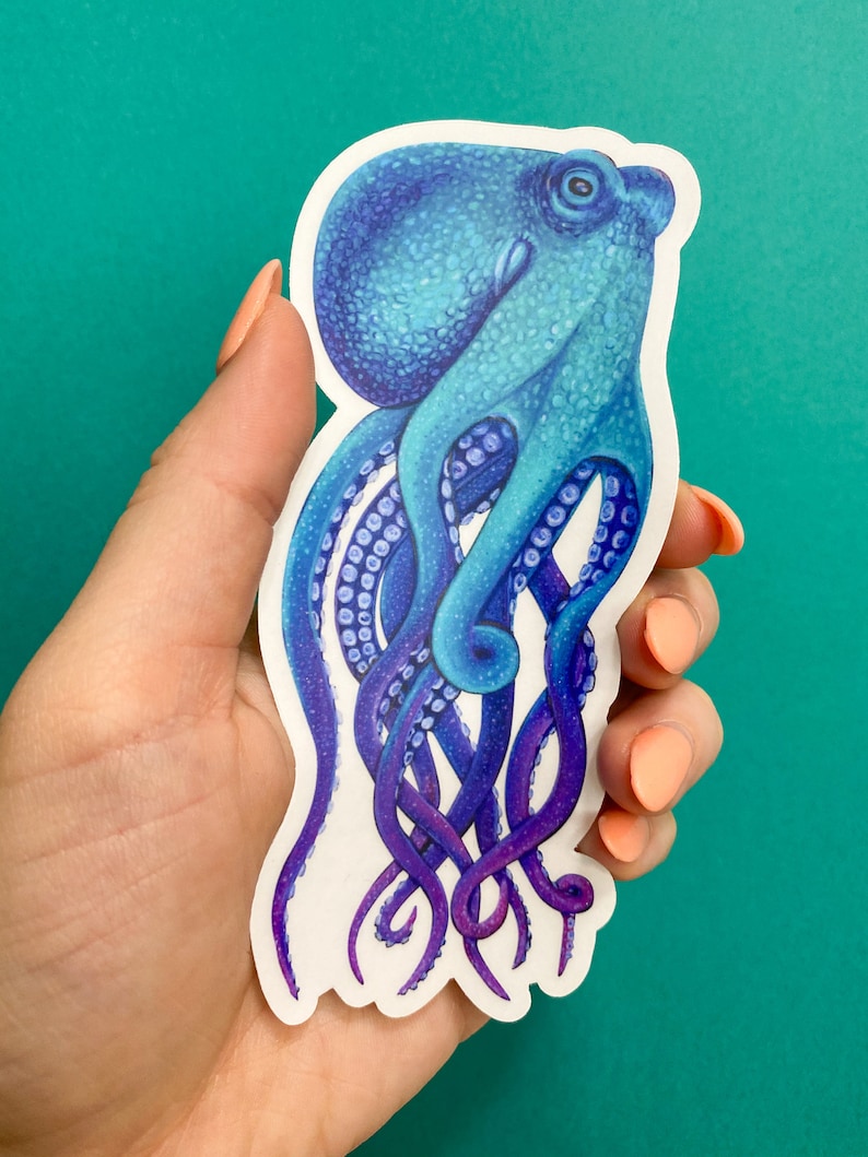 May include: A blue and purple octopus sticker with a white background. The octopus has eight tentacles and is drawn in a realistic style.