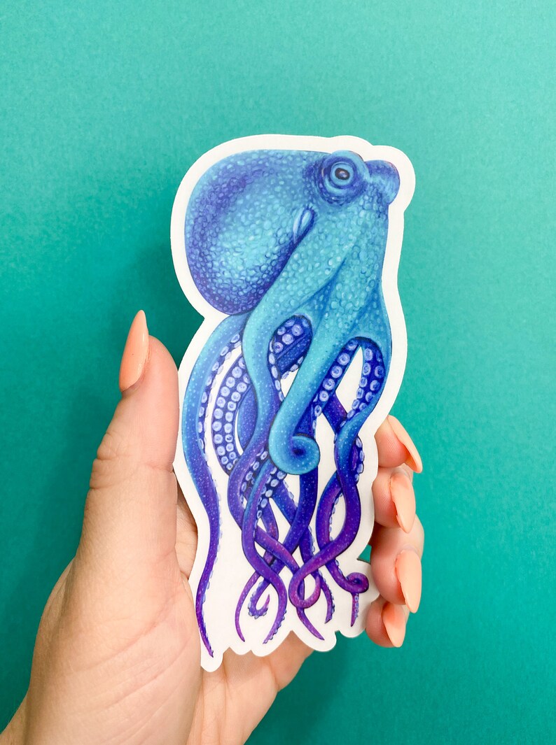May include: A blue and purple octopus sticker with a white background. The octopus has eight tentacles and is drawn in a realistic style.