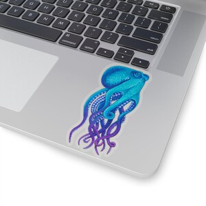 May include: A blue and purple octopus with eight tentacles. The octopus is drawn in a realistic style with detailed features.