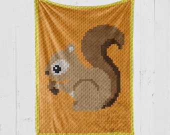INSTANT DOWNLOAD - Squirrel - Crochet Graph - Crochet Pattern - Woodland - Baby Blanket - Corner to Corner - C2C - C2C Written