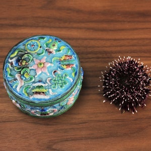 Puede incluir: Una caja redonda de chucherías azul y verde con diseños florales y geométricos. La caja está sobre una superficie de madera junto a una flor morada seca.