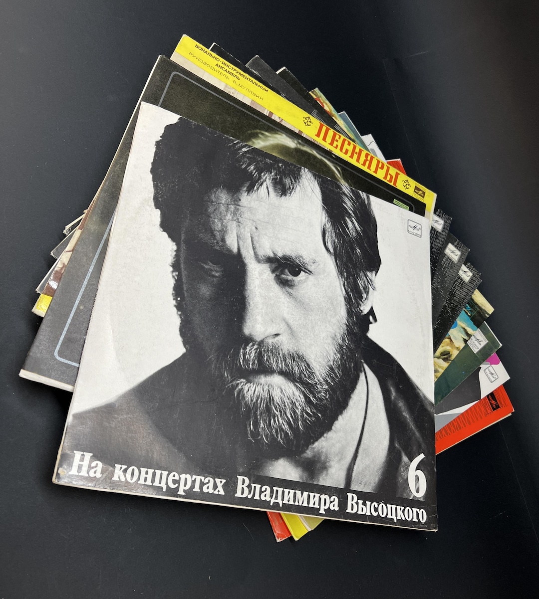 盤質良好 レコード Alla Pugacheva ソ連 USSR プガチョワ Vintage USSR Vinyl Records, Melodiya Lps, Alla Pugacheva, Vysotsky