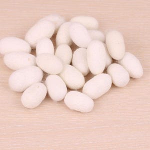 Può includere: Un mucchio di bozzoli di baco da seta bianchi, di forma ovale. I bozzoli sono raggruppati, con una superficie leggermente strutturata. Lo sfondo è di un colore chiaro e neutro, creando contrasto.