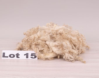 Lot 15, Masham raw fleece & lokcs.