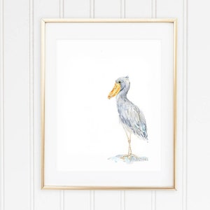 Shoebill Stork Watercolor Art Print: Historic bird art print for woodland themed room decor / modern stork watercolor artwork