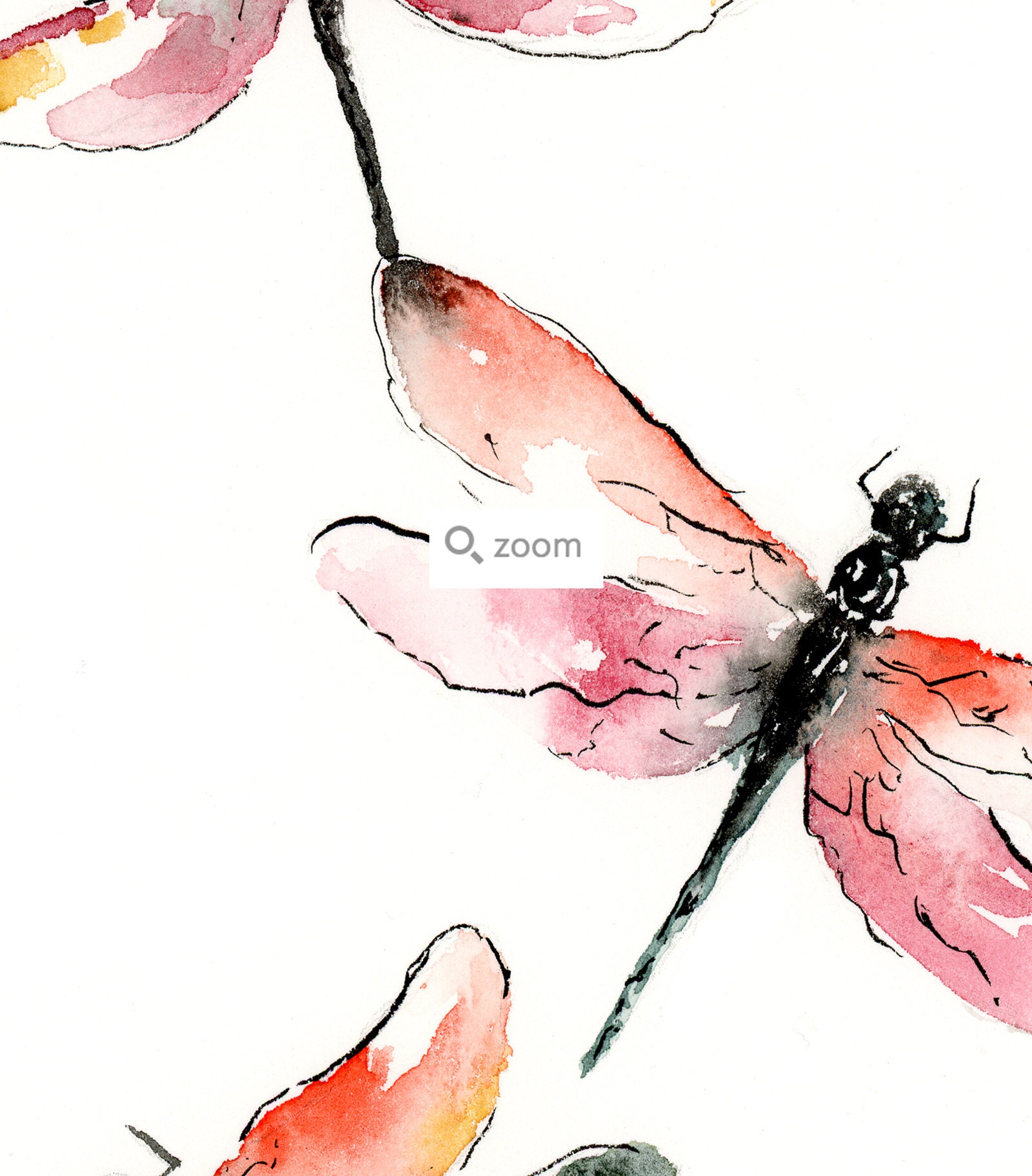 トンボの水彩画アートプリント / 美しい昆虫の壁飾り / トンボの