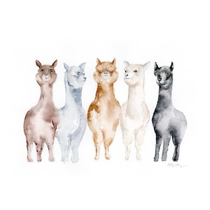 United Colors of Alpacas Watercolor Art Print / Farm Animals art print / alpacas llamas fine art giclee print