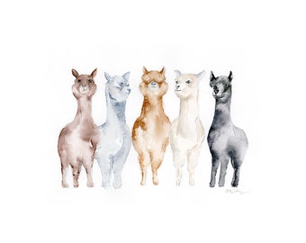 United Colors of Alpacas Watercolor Art Print / Farm Animals art print / alpacas llamas fine art giclee print